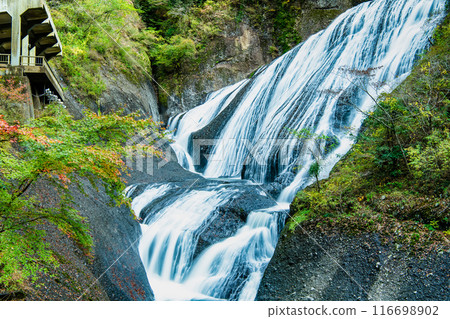 初秋的茨城縣袋田瀑布 116698902