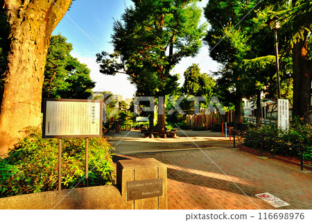 A comfortable space in the city: Nabeshima Shoto Park with wooden public toilets 116698976