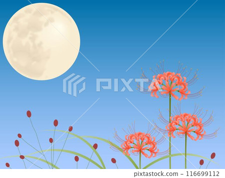 Red spider lilies, amaranth and moon 116699112