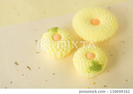 菊花樂眼 116699162