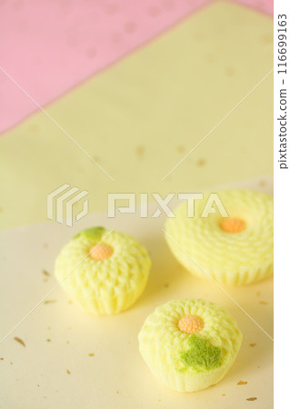 Chrysanthemum Rakugan 116699163