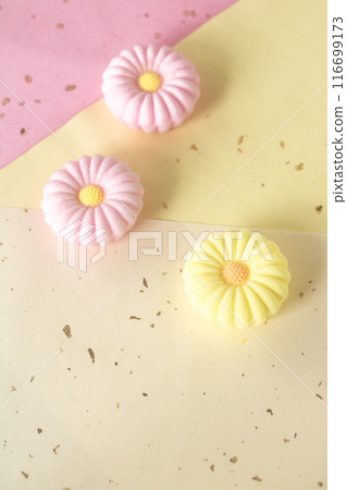 菊花樂眼 菊花樂眼 116699173