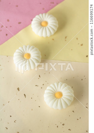 菊花樂眼 116699174