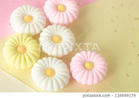 菊花樂眼 菊花樂眼 116699179