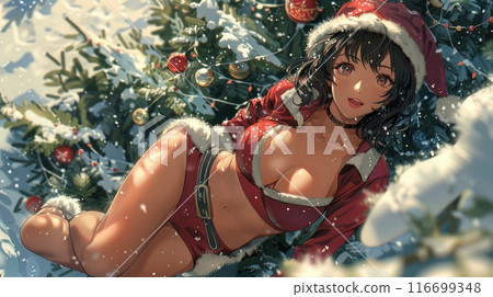 woman dressed as Santa Claus 116699348