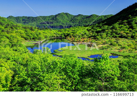 Kakumanbuchi Falls with blooming azaleas and fresh greenery (from Torii Pass) 116699713