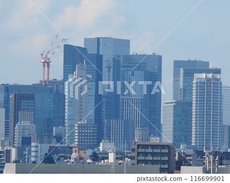 東京大廈 116699901