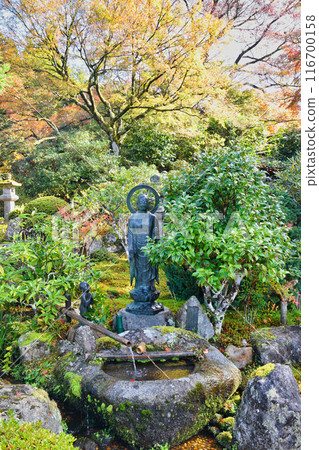大原實光院舊立學院庭園 美麗的秋天庭園（京都市左京區） 116700158