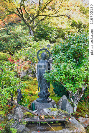 大原實光院舊立學院庭園 美麗的秋天庭園（京都市左京區） 116700189