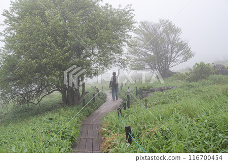 Kirigamine, a plateau covered in mist 116700454
