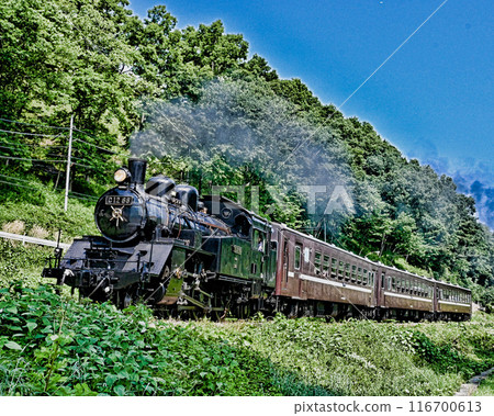 Steam locomotive of Moka railroad Steam locomotive of Moka railroad 116700613
