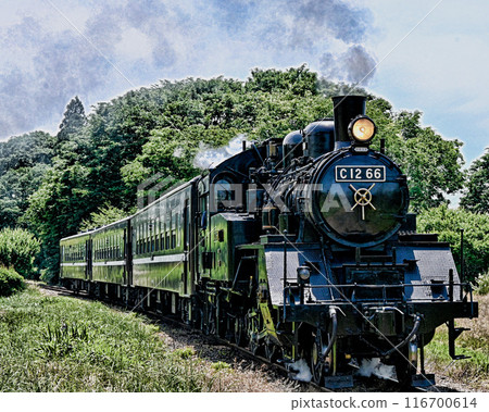 Moka鐵路蒸汽機車 Moka鐵路蒸汽機車 116700614