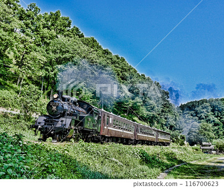 Steam locomotive of Moka railroad 116700623