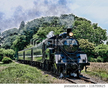 Moka鐵路蒸汽機車 Moka鐵路蒸汽機車 116700625