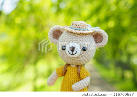 動物阿米古魯米旅行 116700687