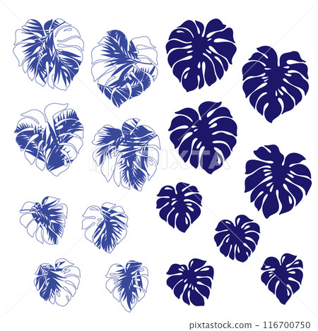 A collection of Monstera illustrations perfect for Aloha patterns, A collection of Monstera illustrations perfect for Aloha patterns, 116700750