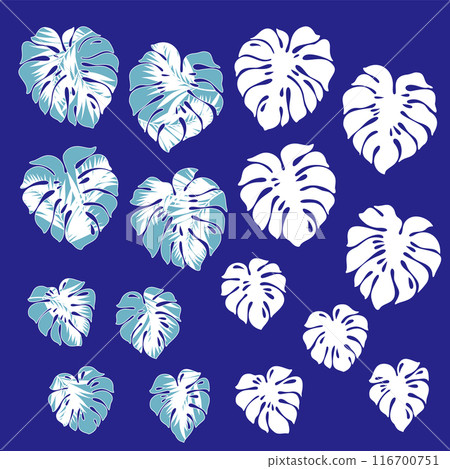 A collection of Monstera illustrations perfect for Aloha patterns, A collection of Monstera illustrations perfect for Aloha patterns, 116700751