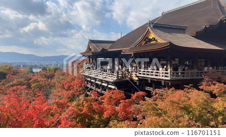京都著名旅遊勝地的寺廟和秋葉 116701151