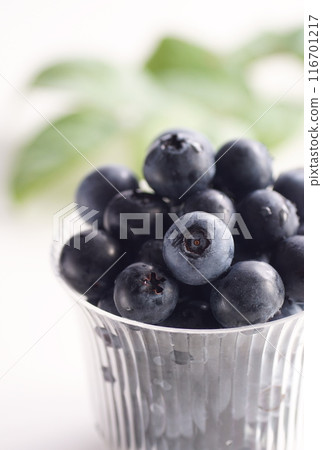 blueberry blueberry 116701217