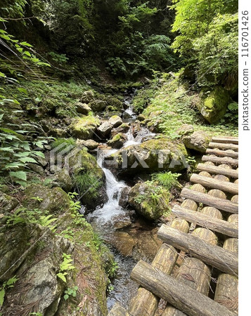 Kasui Falls, Hinode Village 116701426