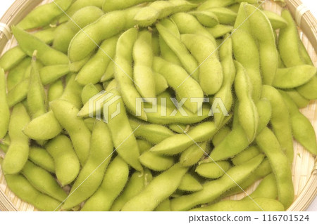毛豆 116701524