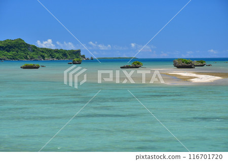 Hamahigajima Okinawa 116701720