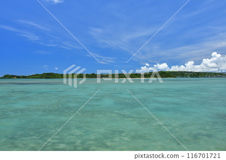 Hamahigajima Okinawa 116701721