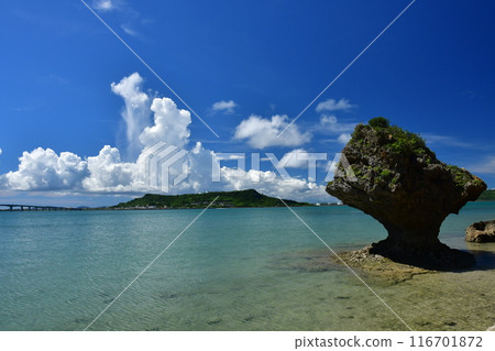 Summer clouds Okinawa Summer clouds Okinawa 116701872
