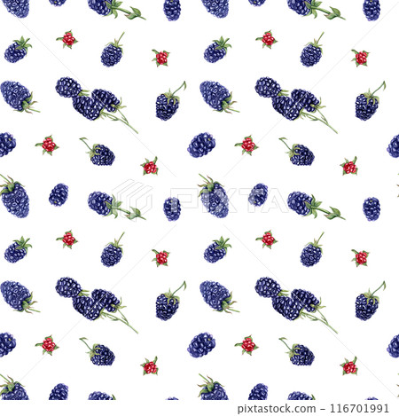 Blackberries. Seamless pattern of Bramble. Flying forest and garden berries. Dewberry and boysenberry. Black raspberries. Natural food. Watercolor illustration. For package, kitchen textile Blackberries. Seamless pattern of Bramble. Flying forest and garden berries. Dewberry and boysenberry. Black raspberries. Natural food. Watercolor illustration. For package, kitchen textile 116701991