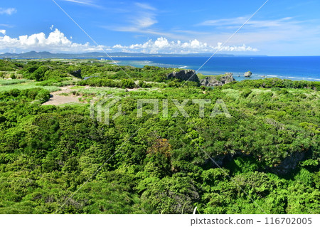 宮城島 沖繩 Nuchimas 宮城島 沖繩 Nuchimas 116702005