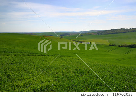 Moravian steppe near Kyjov, South Moravia, Czech Republic, Central Europe. A landscape of rolling hills. Moravian steppe near Kyjov, South Moravia, Czech Republic, Central Europe. A landscape of rolling hills. 116702035