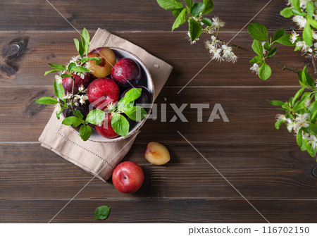 a few juicy red plums with branch blossom flowers on a napkin on a brown wood background. Top view a few juicy red plums with branch blossom flowers on a napkin on a brown wood background. Top view 116702150