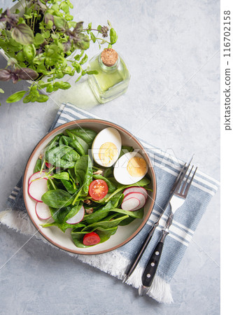 Fresh salad of green spinach leaves, tomatoes, microgreens basil,boiled egg, red radish  116702158