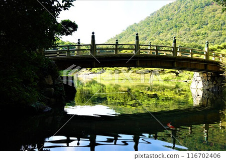 在池塘上的橋 116702406