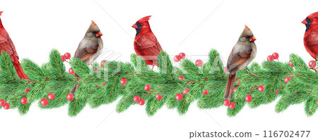 Winter festive seamless border with red cardinal birds. Vintage style illustration. Christmas time decor seamless border with garden birds, poinsettia, pine twig, eucalyptus, berries. 116702477
