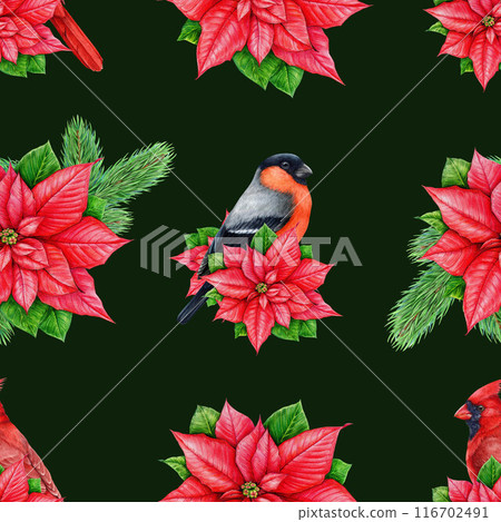 Winter time festive seamless pattern. Vintage style illustration. Traditional Christmas decor, poinsettia flowers, birds painted elements. Winter season bright seamless pattern on dark background Winter time festive seamless pattern. Vintage style illustration. Traditional Christmas decor, poinsettia flowers, birds painted elements. Winter season bright seamless pattern on dark background 116702491