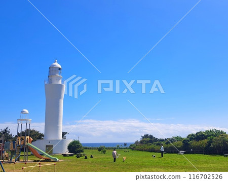Lighthouse Lighthouse 116702526