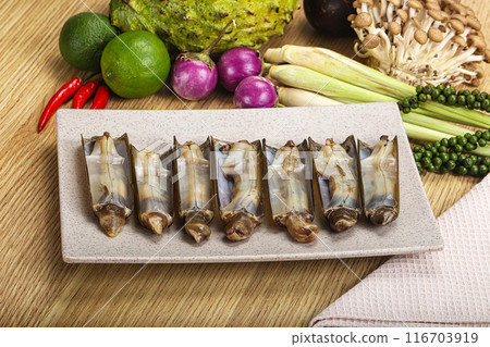 Raw fresh Razor clam mollusk 116703919