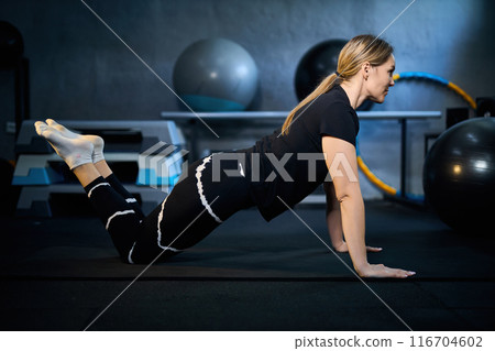 Young attractive sportive woman wearing activewear doing exercises at GYM, Young attractive sportive woman wearing activewear doing exercises at GYM, 116704602