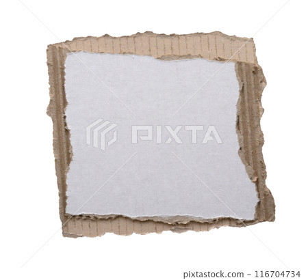 piece of white paper tear isolated on white background piece of white paper tear isolated on white background 116704734