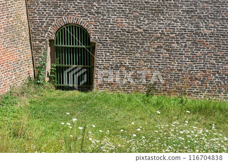 Vysehrad historic fort on the east bank of the Vltava River in Prague, Czech Republic 116704838