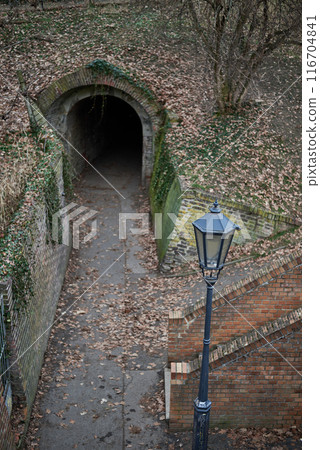 Vysehrad historic fort on the east bank of the Vltava River in Prague, Czech Republic 116704841