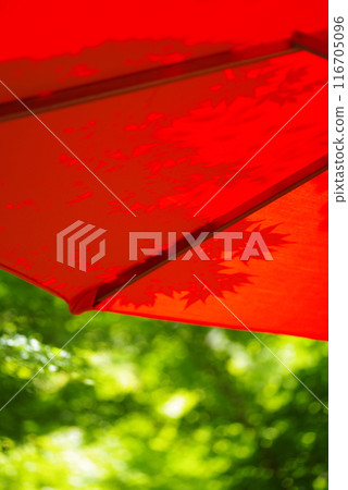 Japanese red umbrella Japanese red umbrella 116705096