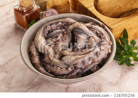 Raw cold octopus for cooking 116705256
