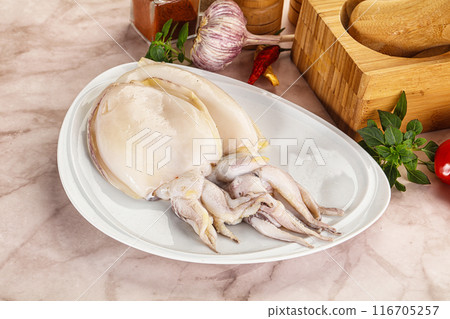 Raw fresh cuttlefish for cooking Raw fresh cuttlefish for cooking 116705257
