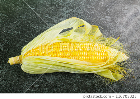 Raw sweet ripe yellow Corn Raw sweet ripe yellow Corn 116705325
