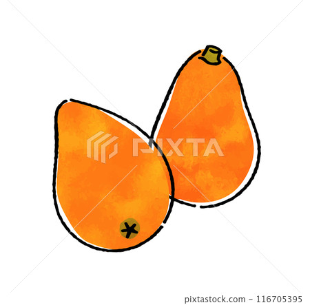 Loquat 116705395