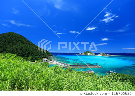 Okinawa, Kerama Islands, Tokashiki Island, blue sea and sugar cane 116705625