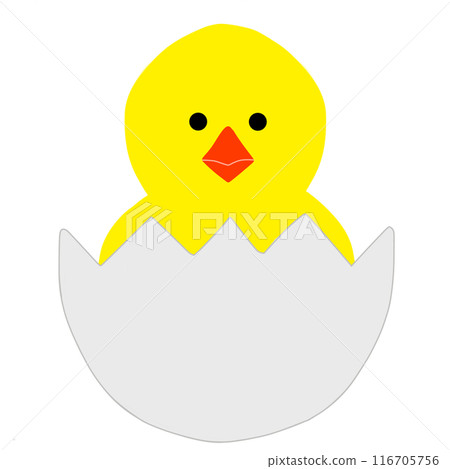 Cute chick 116705756