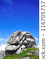 spectacular grag on the Breton coast 116705757